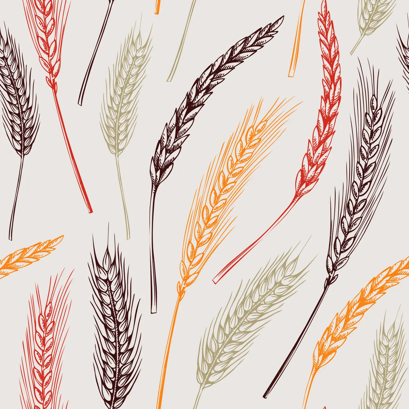 Cereals seamless pattern. Hand-drawn botanical element in sketched style. Thanksgiving background with wheat illustrations. Cereal plants vector backdrop for wrapping paper and textile  Illustration